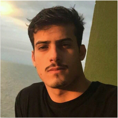 DOUGLAS backlinks brasil